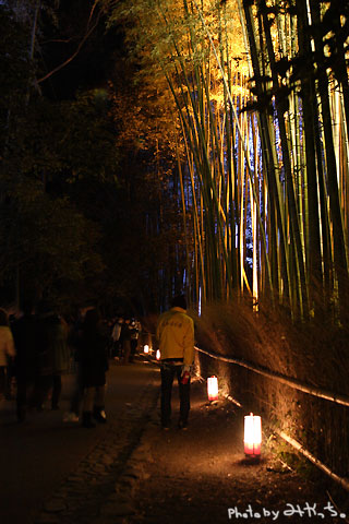 京都嵐山花灯路2009